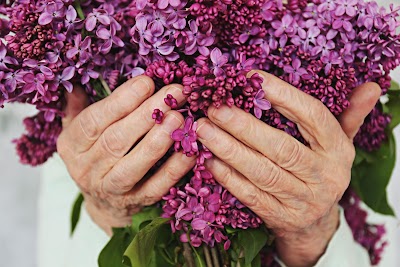Lifestar Home Care