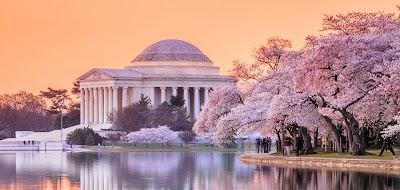 Custom Tours of DC - Private Tour Agency