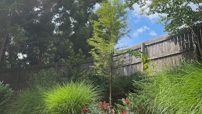 Clean Air Lawn Care