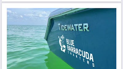 Blue Barracuda Charters
