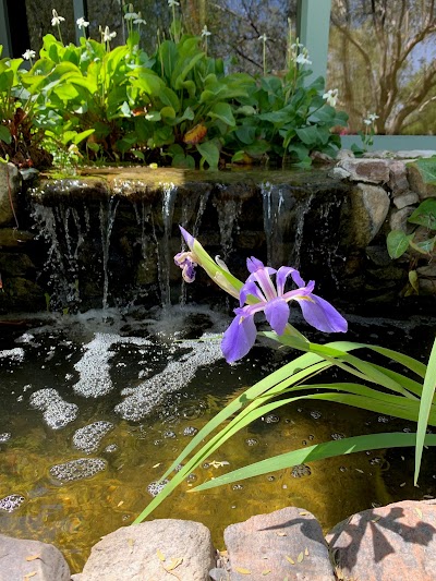 Pond Perfecter