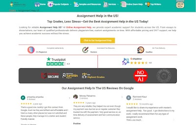 Online Assignment Help USA