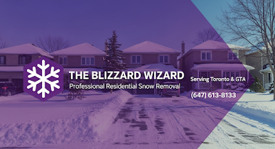 The Blizzard Wizard