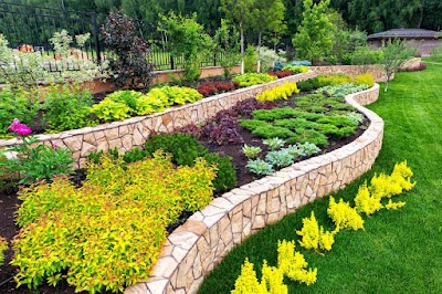 MPR Landscapes