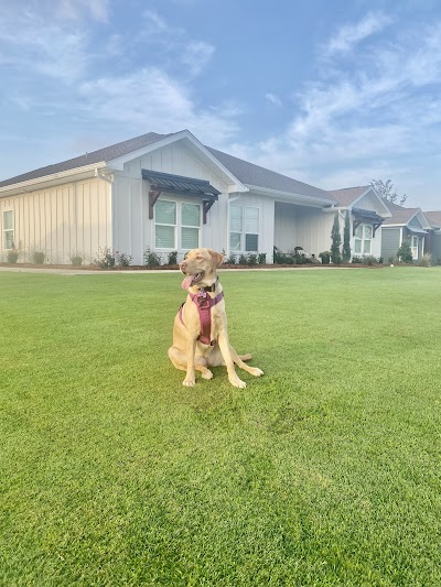 Turf-MD Lawn Care