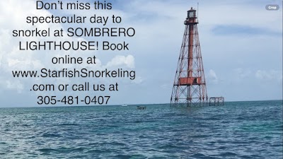 Starfish Marathon Snorkeling Tours