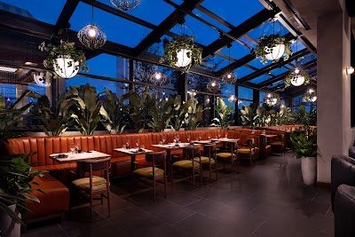 Stubborn Seed Las Vegas