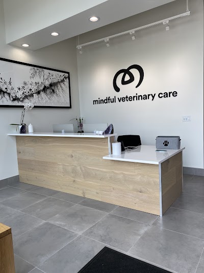 Mindful Veterinary Care