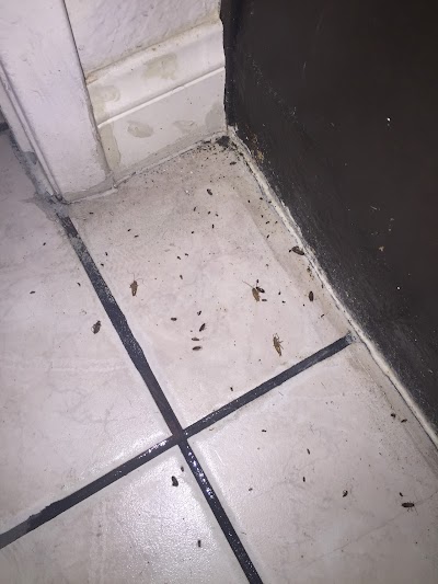 Josh The Bug Guy - Pest Control in Las Vegas