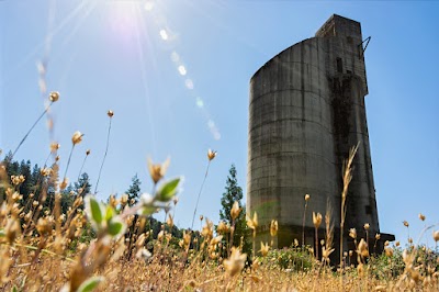 Shelly Long-Welborn, Realtor