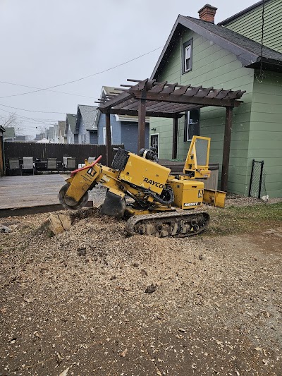 Stump Grinding/Removal | Stump Busters