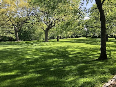 Mr. Lawn Care