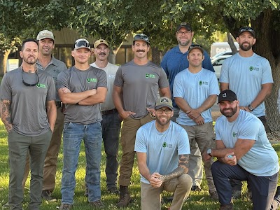 Alpine Tree Service