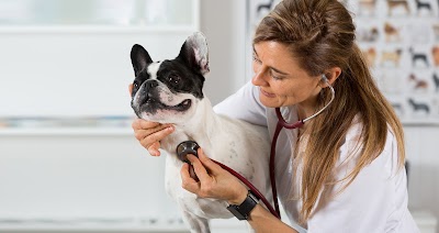 PetWow Grooming and Veterinary Care - Highland Heights
