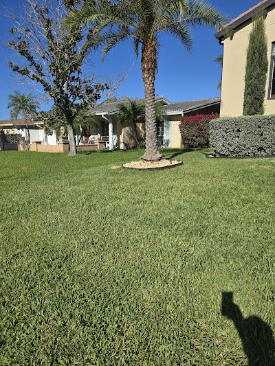 Progreen Pest Control
