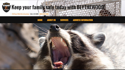 Blythewood Wildlife Removal, Lexington