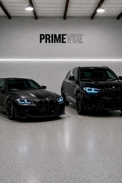 PrimeVue Protection