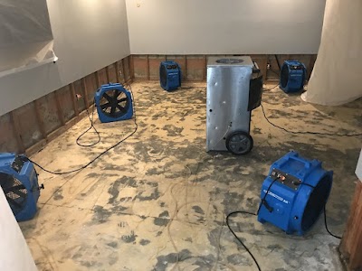 Kylis Restoration Broomfield