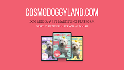 Cosmodoggyland Dog Magazine & Pet Business Marketing Solutions