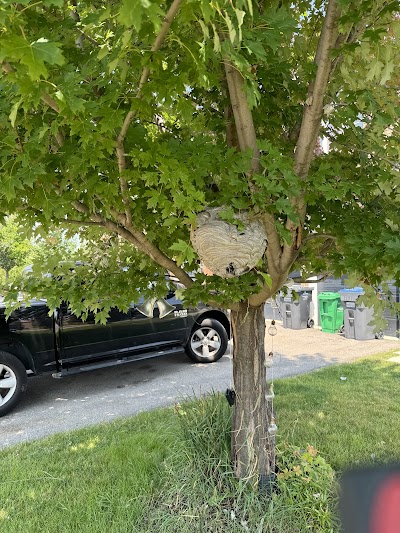 BP Pest Control