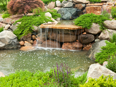 Aquagarden Pond & Water Feature
