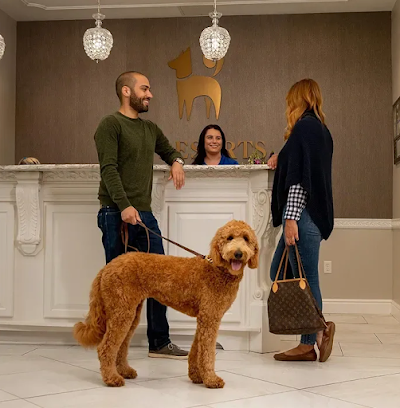 K9 Resorts Luxury Pet Hotel Apex