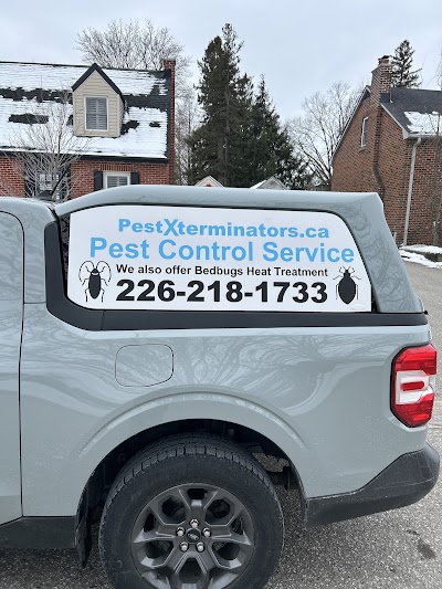 PestXterminators