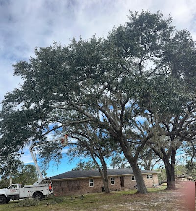 Javier Cazarez Tree Services LLC