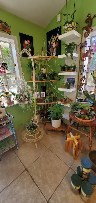Terranova Nursery & Garden Center