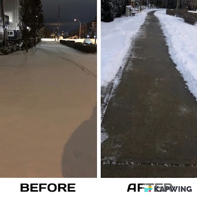 Snow Removal Expert