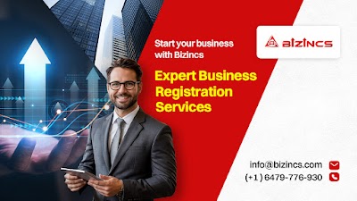 Bizincs: Incorporate