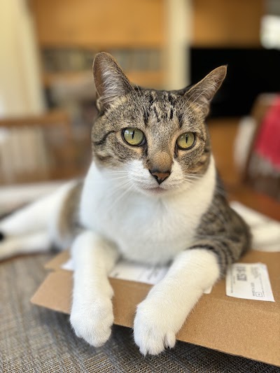Del Mar Heights Veterinary Hospital