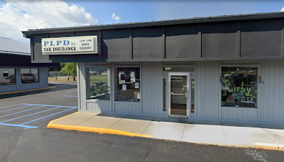 PLPD Insurance - Mt Pleasant