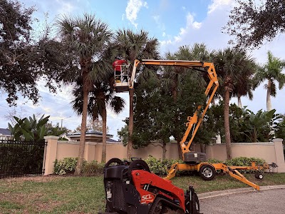 Tree Love Tree Service