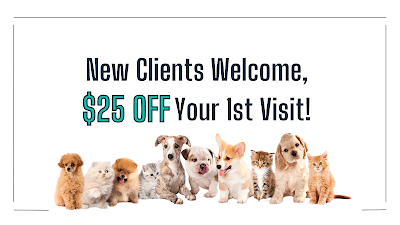 Alafaya Trail Animal Hospital