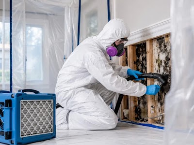 Restoration Services GTA
