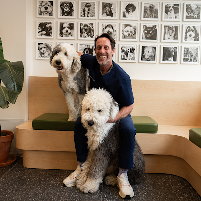 Upper Village Veterinary Hospital