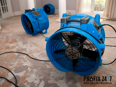 ProFix 24/7 Chicagoland's Damage Restoration Company