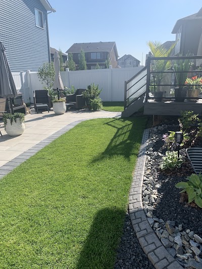 Ace Landscapes