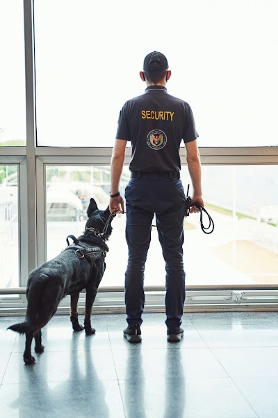 Safe-X Security