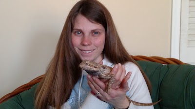 Kara's Critter Care Michigan
