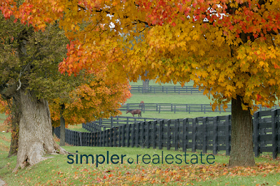KY Horse Properties