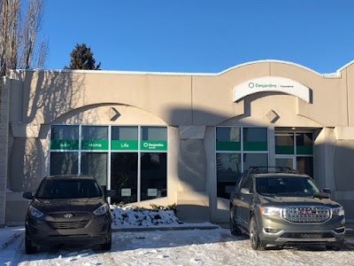 David Allin Desjardins Insurance Agent