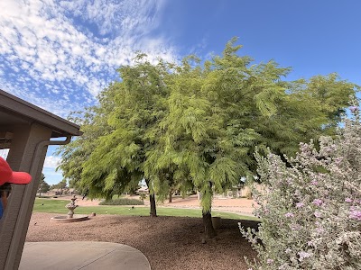 Performance tree service and landscape