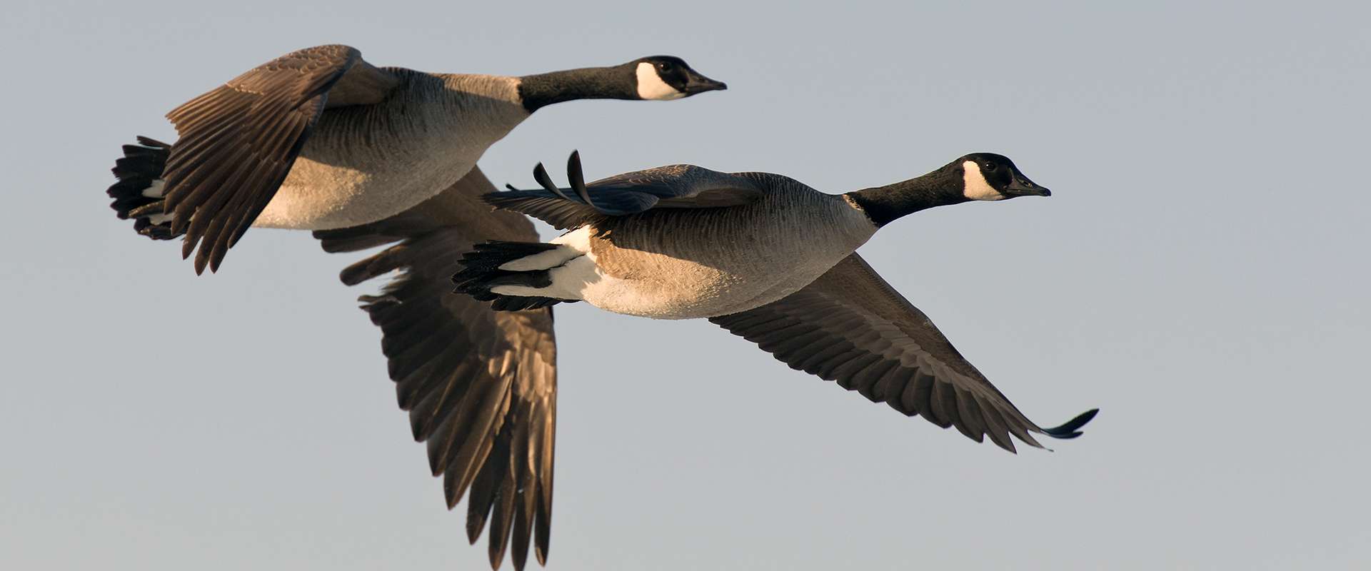 Prairies Edge Outfitting