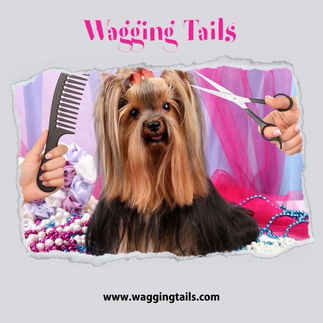 Wagging Tails