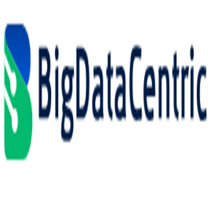 Big Data Centric