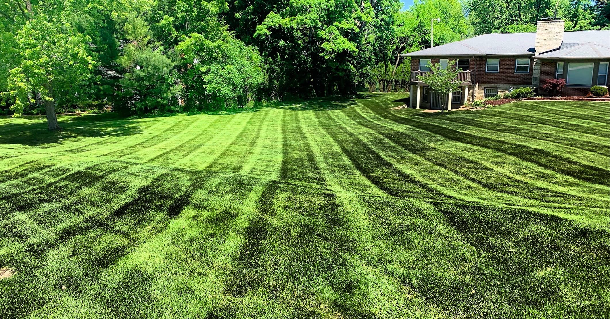Platinum Landscape