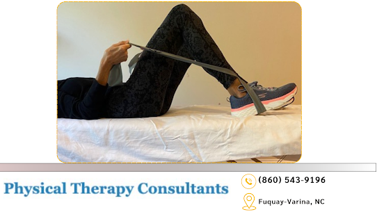 Physical Therapy Consultants