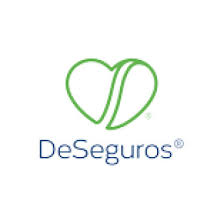 DeSeguros, LLC